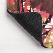 AUTUMN MUISMAT (Hoek)