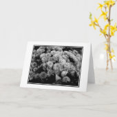 "Autumn Mums" Blank Wenskaart Kaart (Gele Bloem)