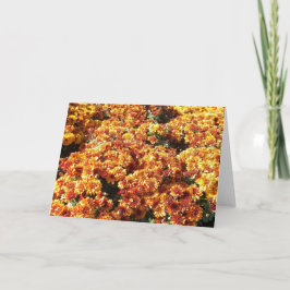 Autumn Mums Feestdagen Kaart