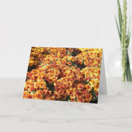 Autumn Mums Feestdagen Kaart