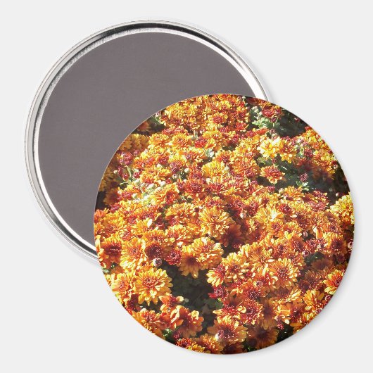 Autumn Mums Magneet (Voorkant / Achterkant)
