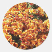 Autumn Mums Ronde Sticker (Voorkant)