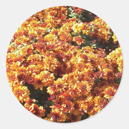 Autumn Mums Ronde Sticker (Voorkant)