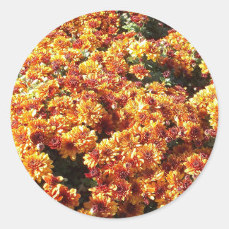 Autumn Mums Ronde Sticker