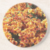 Autumn Mums Zandsteen Onderzetter (Voorkant)