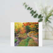 Autumn Munising Trail Alger County Michigan Briefkaart (Staand voorkant)