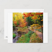 Autumn Munising Trail Alger County Michigan Briefkaart (Voorkant / Achterkant)
