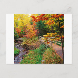 Autumn Munising Trail Alger County Michigan Briefkaart