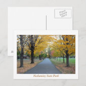 Autumn Neshaminy State Park Briefkaart (Voorkant / Achterkant)