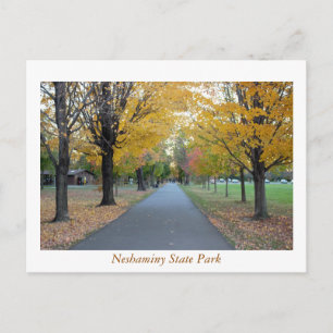 Autumn Neshaminy State Park Briefkaart