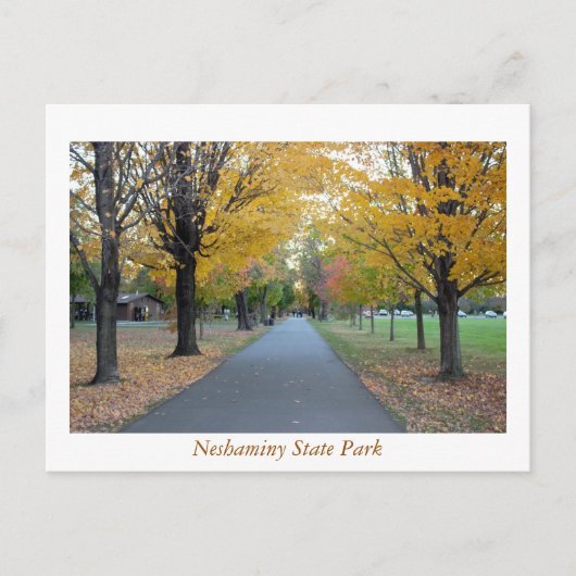 Autumn Neshaminy State Park Briefkaart (Voorkant)