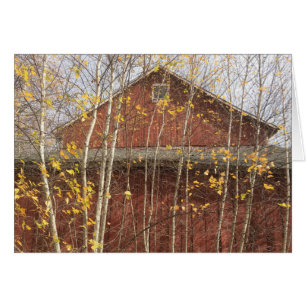 Autumn New England Barn