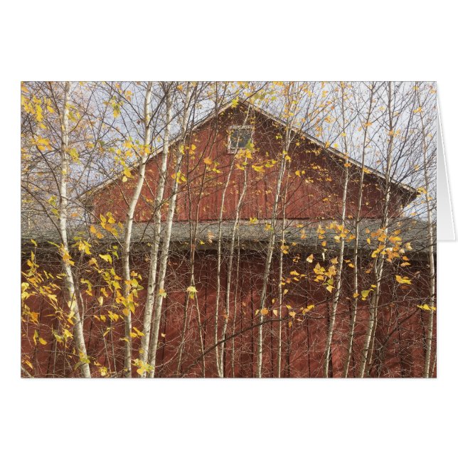 Autumn New England Barn (Voorkant Horizontaal)