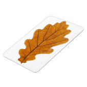 Autumn oak leaf magneet (Linkerzijde)