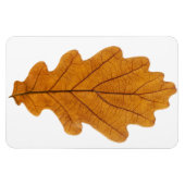 Autumn oak leaf magneet (Horizontaal)