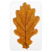 Autumn oak leaf magneet (Verticaal)