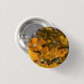 Autumn Oak Leaves Button / Badge (Voorkant /achterkant)