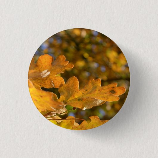 Autumn Oak Leaves Button / Badge (Voorkant)