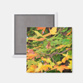 Autumn Oak Leaves Magnet (Voorkant / Achterkant)