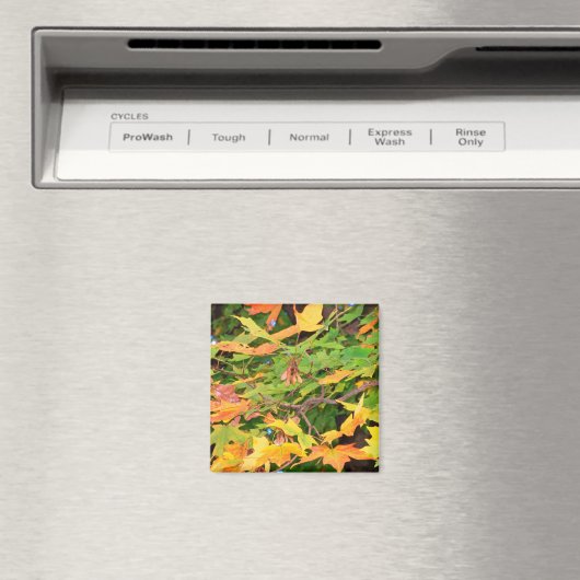 Autumn Oak Leaves Magnet (Insitu (Vaatwasser))