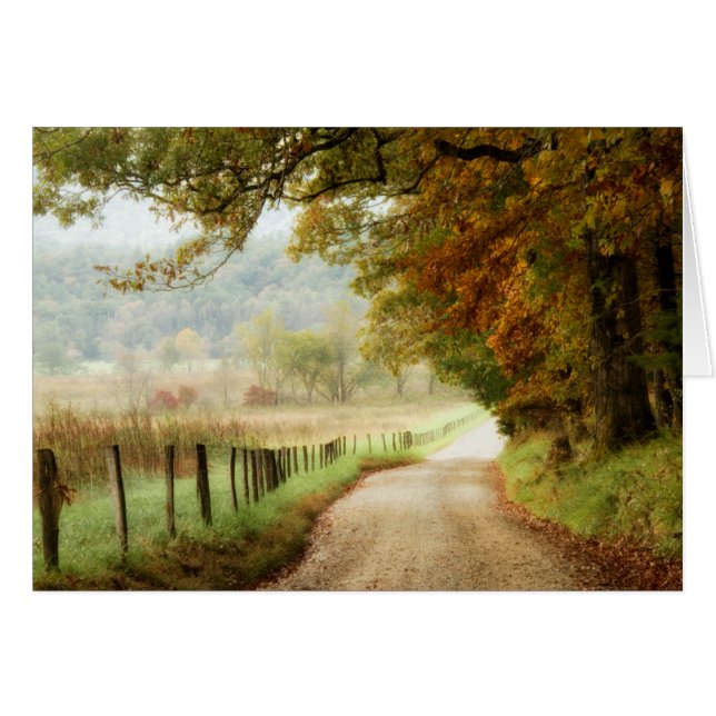 Autumn on a Country Road (Voorkant Horizontaal)