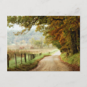 Autumn on a Country Road Briefkaart
