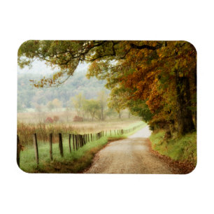 Autumn on a Country Road Magneet