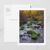 "Autumn on Mill Creek" Briefkaart (Voorkant / Achterkant)