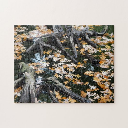 Autumn Otter Pond van Bladeren Legpuzzel (Horizontaal)