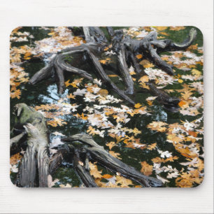 Autumn Otter Pond van Bladeren Muismat