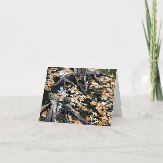 Autumn Otter Pond van Bladeren Notitiekaartje (Voorkant)