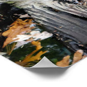 Autumn Otter Pond van Bladeren Poster (Hoek)