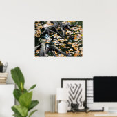 Autumn Otter Pond van Bladeren Poster (Thuiskantoor)