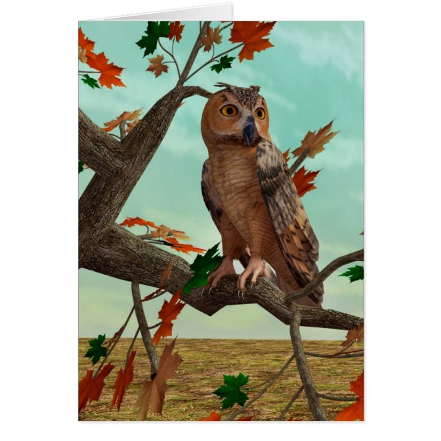 Autumn Owl (Voorkant)