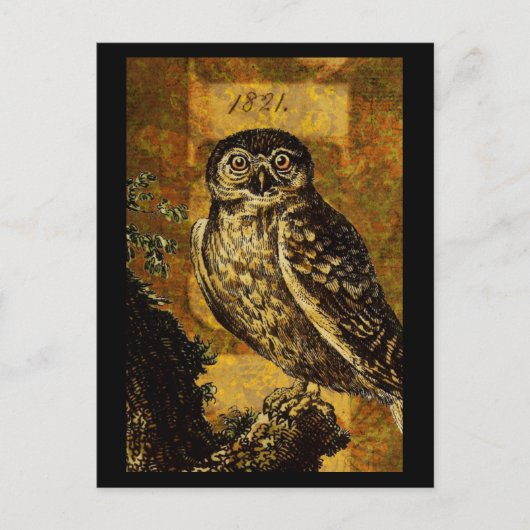 Autumn Owl Briefkaart (Voorkant)