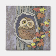 Autumn Owl en de Kleuren van de Daling Magnet