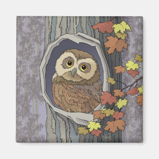 Autumn Owl en de Kleuren van de Daling Magnet