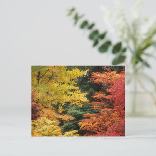 Autumn Palette Briefkaart (Staand voorkant)