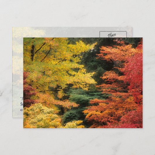 Autumn Palette Briefkaart (Voorkant / Achterkant)