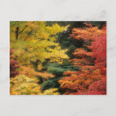 Autumn Palette Briefkaart (Voorkant)