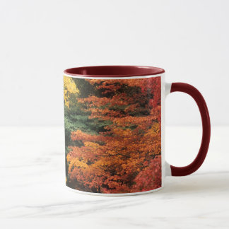 Autumn Palette Mok
