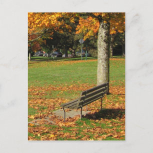 Autumn Park Bench Briefkaart