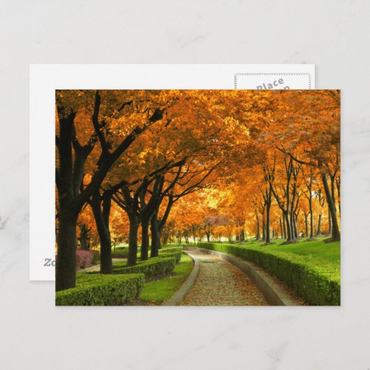 Autumn Park Briefkaart (Voorkant / Achterkant)