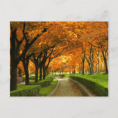 Autumn Park Briefkaart (Voorkant)