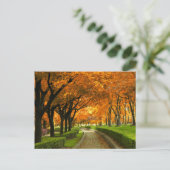 Autumn Park Briefkaart (Staand voorkant)