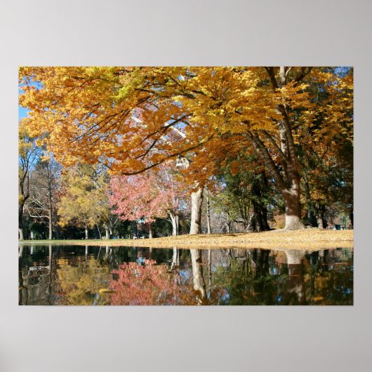 Autumn Park, Pond Poster (Voorkant)