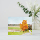 Autumn Pasture Briefkaart (Staand voorkant)