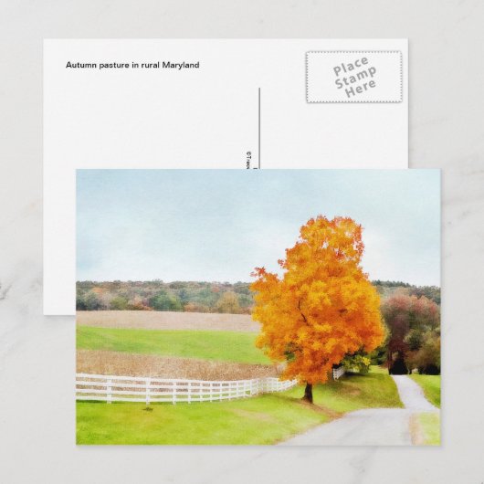 Autumn Pasture Briefkaart (Voorkant / Achterkant)