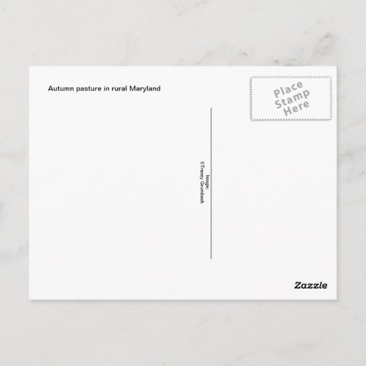 Autumn Pasture Briefkaart (Achterkant)