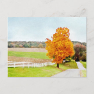 Autumn Pasture Briefkaart